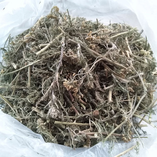 Dried Yarrow, Yarrow, Chiba, Yarrow, Dried Haemostasis, Soaking and Extracting & Good Raw Material for Pet Feed