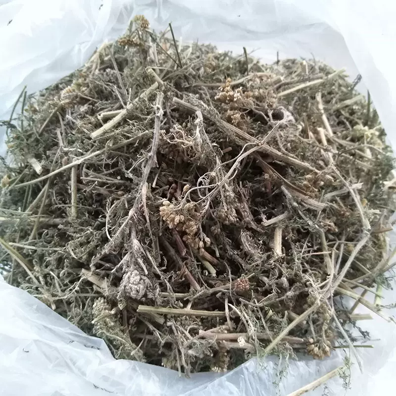 西洋蓍草干品欧蓍草千叶蓍止血草干品浸泡提取&宠物饲料好原料
