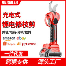 �羳��ʽ늄���֦�����ʽ����֦��@ˇ�@�ּ���늼����S��ֱ�N