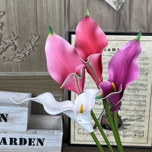 �p�^�����R��ɏEVA�ָи�Ʒ�|�ҾӔzӰ�����bٻ���c��ˇ�쾰