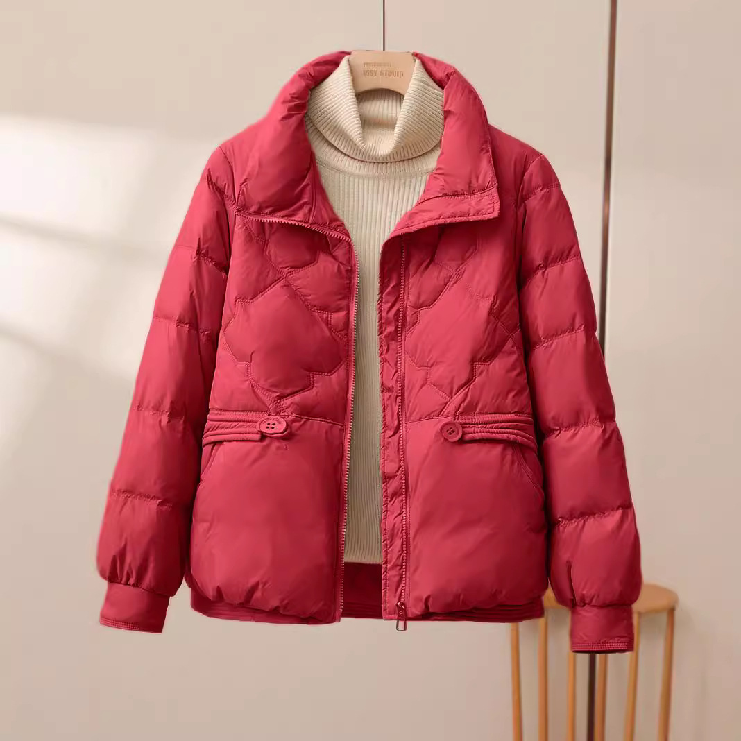 Women's Clothing down cotton jacket winter small cotton jacket stand collar versatile short cotton jacket thickened coat_voghion.com