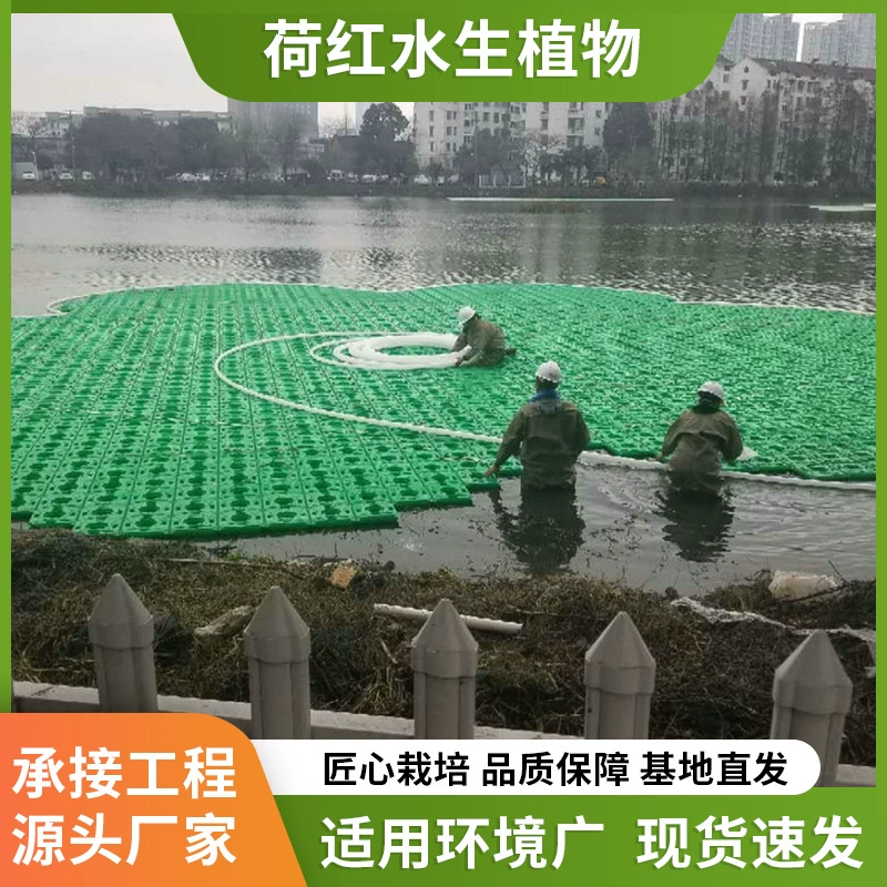 Экологические плавающие острова Экологические плавающие острова Экологические плавающие острова Водные растения Плавающие острова полистирол Экологические плавающие острова