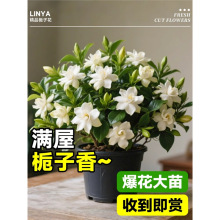 ��Ʒ�d�ӻ������ļ��໨�ش�̖�����������ʹ��~���窚�U�Ϙ����