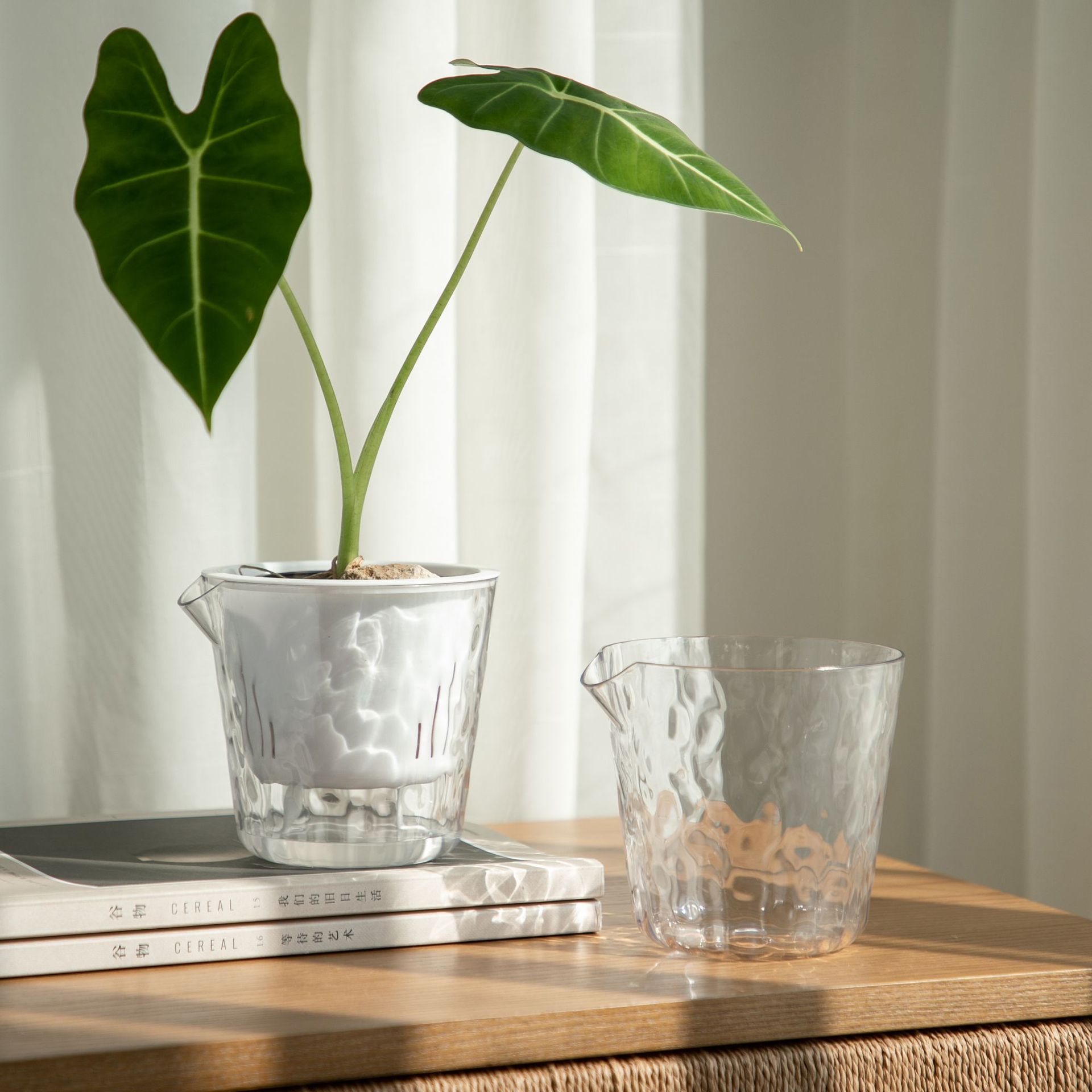 Lazy Succulent Self-Watering Flower Pot Transparent Hydroponic Container Plastic Glass Water Culture Special Vase Design