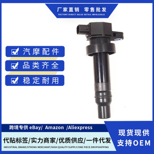 Factory Price 2730126640 0986221077 Ignition Wire Suitable for Kia Rio5 2006-2011