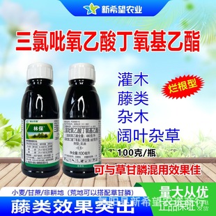 �ֱ� ������������ С��ɭ�ֳ���~�s�����ľС�sľ�������݄�