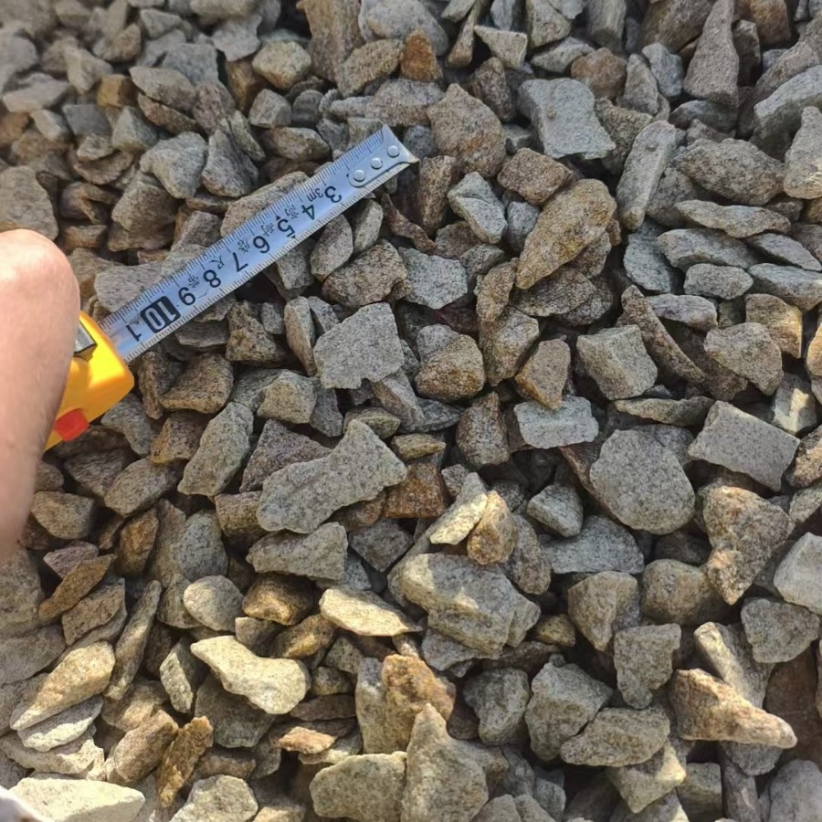 2025-02-26 15:29:19.jpg