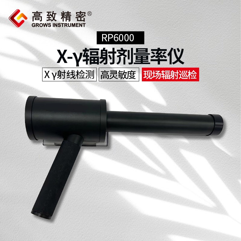X-γ辐射剂量率仪RP6000便携式辐射检测仪 手持式辐射检测仪