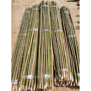 ��Ͳˈ@����S�϶������t����������߲����ټ��Ӳ�����U�����