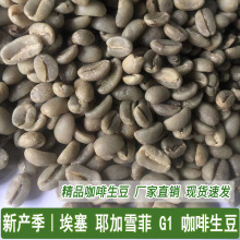 新产季埃塞俄比亚耶加雪菲咖啡生豆G1精品咖啡生豆厂家直销现货