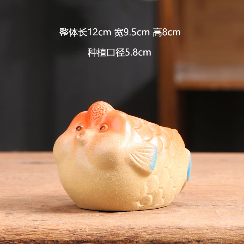 Maceta para suculentas de cerámica, diseño de animal y colores divertidos