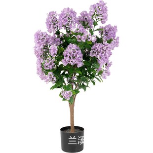 XT�������ɫ��ֲ�������������Ԙ��҃��b羳���u��ޱ���٘�