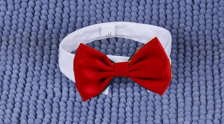 微信图片_20220810102727_副本