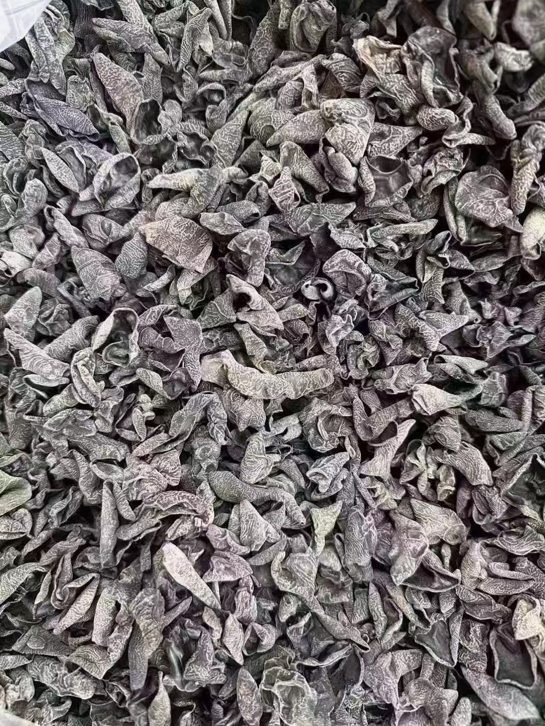 QQ图片20240830231602