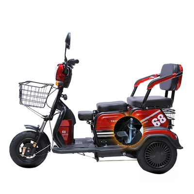 Electric Scooter: Dingzhi Auto Parts and Accessories