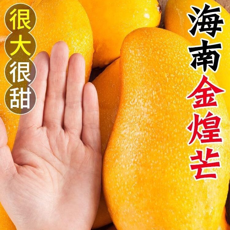 Hainan Jinhuang Mango 5kg Fresh Tropical Fruit in Season Narcissus Mango Sweetheart Mango Free Shipping in the Whole Box Hainan Jinhuang Mango 5kg Fresh Tropical Fruit in Season Narcissus Mango Sweetheart Mango Free Shipping in the Whole Box