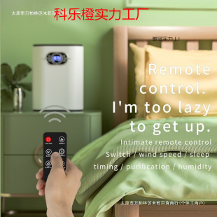 Hot Selling New Healthy Small Semiconductor Dehumidifier Household Moisture-Proof Electronic Dehumidifier Not Dry Europe
