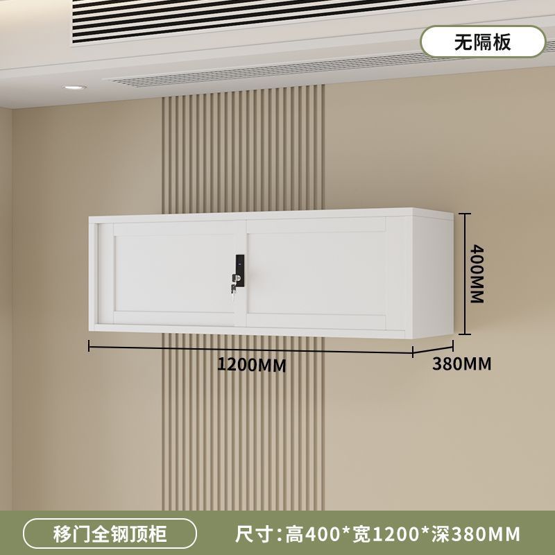 钢制移门书柜推拉门家用文件资料文具手办展示收纳柜铁艺书架带锁|undefined