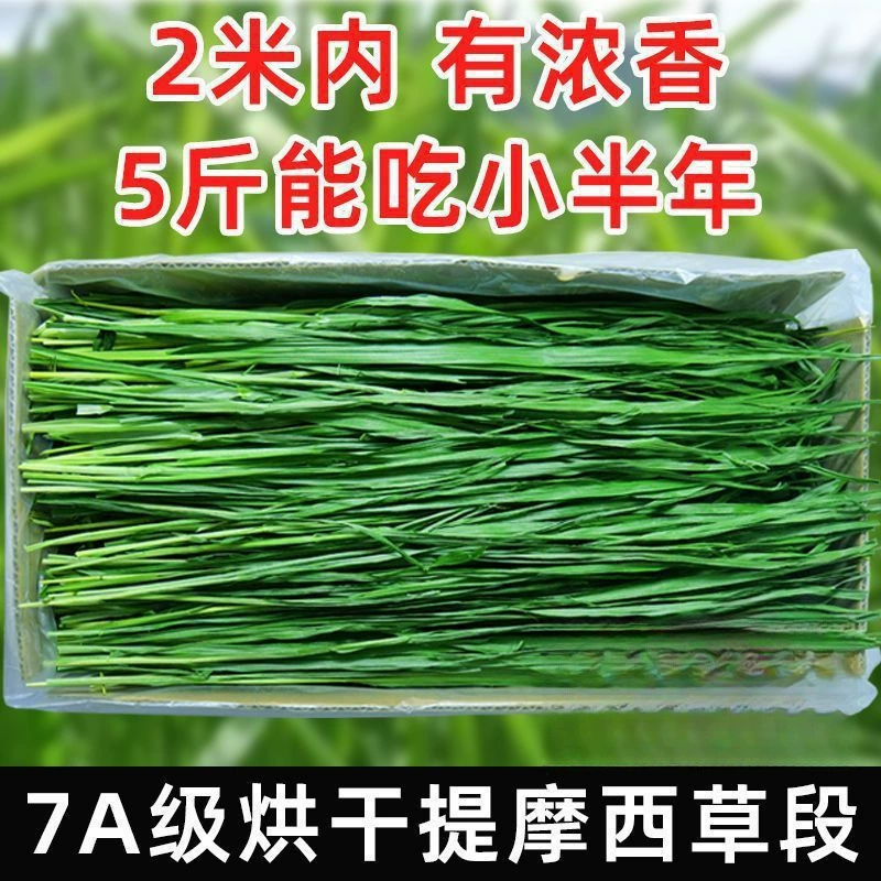 Тимоти сушеный и высушенный на солнце кролик, новая съедобная еда для шиншиллы, кролика, морской свинки, морской свинки