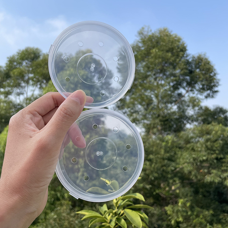 粉扑透气收纳盒带孔XL专用气垫空盒便携小号圆形PP透明透气盒包邮