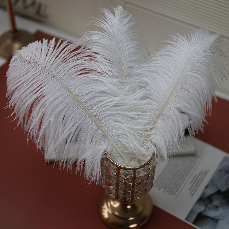 Plumas de avestruz bodas blancas de avestruz guía de plumas accesorios de fotos adornos rojo rosado en línea grandes plumas decoración