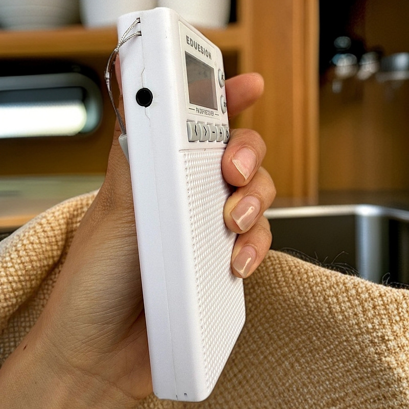 Nuevos productos transfronterizos DSP portátil mini radio FM conferencia de bolsillo fuente de comercio exterior receptor de frecuencia