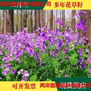 �����m���N���ļ��N�׻�������޸��T��˷N������ͺ������m����
