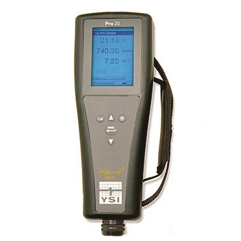 美国维赛 YSI Pro20编写手持式溶解氧测定仪 溶氧仪