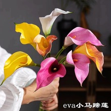 �����ɫ�������Q�S�����l EvaС�R��ɏ��Yܛ�b��ꐼҾ��bٻ�