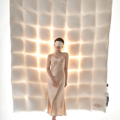 Factory Direct Sales 95% White Goose Down Winter Quilt with Hanging Goose Down Quilt High-End Goose Down Spring and Autumn Quilt Thick Down Comforter