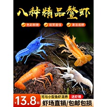 ���r�^�p�r��ˮ��ˮ���ͻ��w����t���{ɫС���r��ɽԭ������{ħ