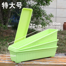 �B����N�˿򻨻ܷNֲ�L�ο��̨�N�ˌ�����N�����߲˷Nֲ����