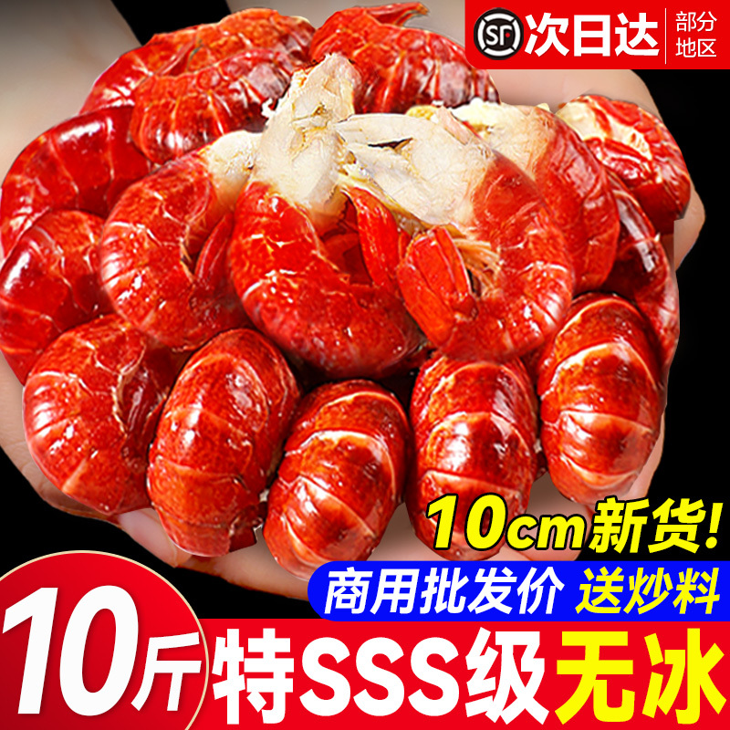 Large Lobster Frozen Fresh Crayfish Without Ice Coat Lobster Special Shrimp Balls Fresh Frozen Wholesale Fresh Box a Large Lobster Frozen Fresh Crayfish Without Ice Coat Lobster Special Shrimp Balls Fresh Frozen Wholesale Fresh Box a