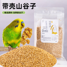 �B�Z�W�^�Bʳ�B����S����ɽ������ɫ���ӎ���С��5���ϼZ����