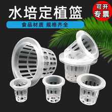 水培定植篮蔬菜无土栽培设备塑料加深种植蓝水耕植物定植杯固根器