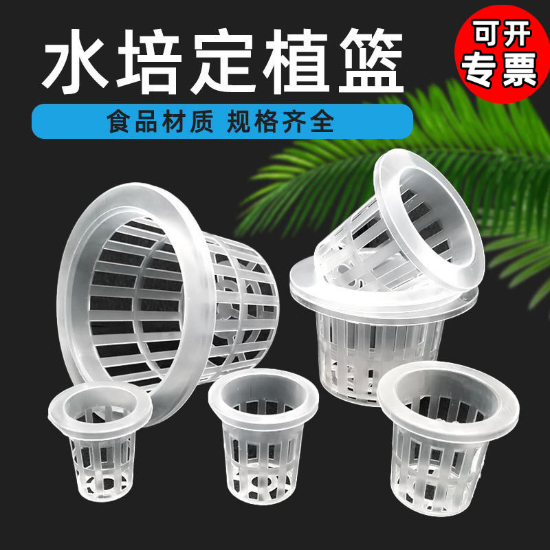 水培定植篮蔬菜无土栽培设备塑料加深种植蓝水耕植物定植杯固根器