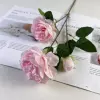 Yang Peony-water pink (main picture)