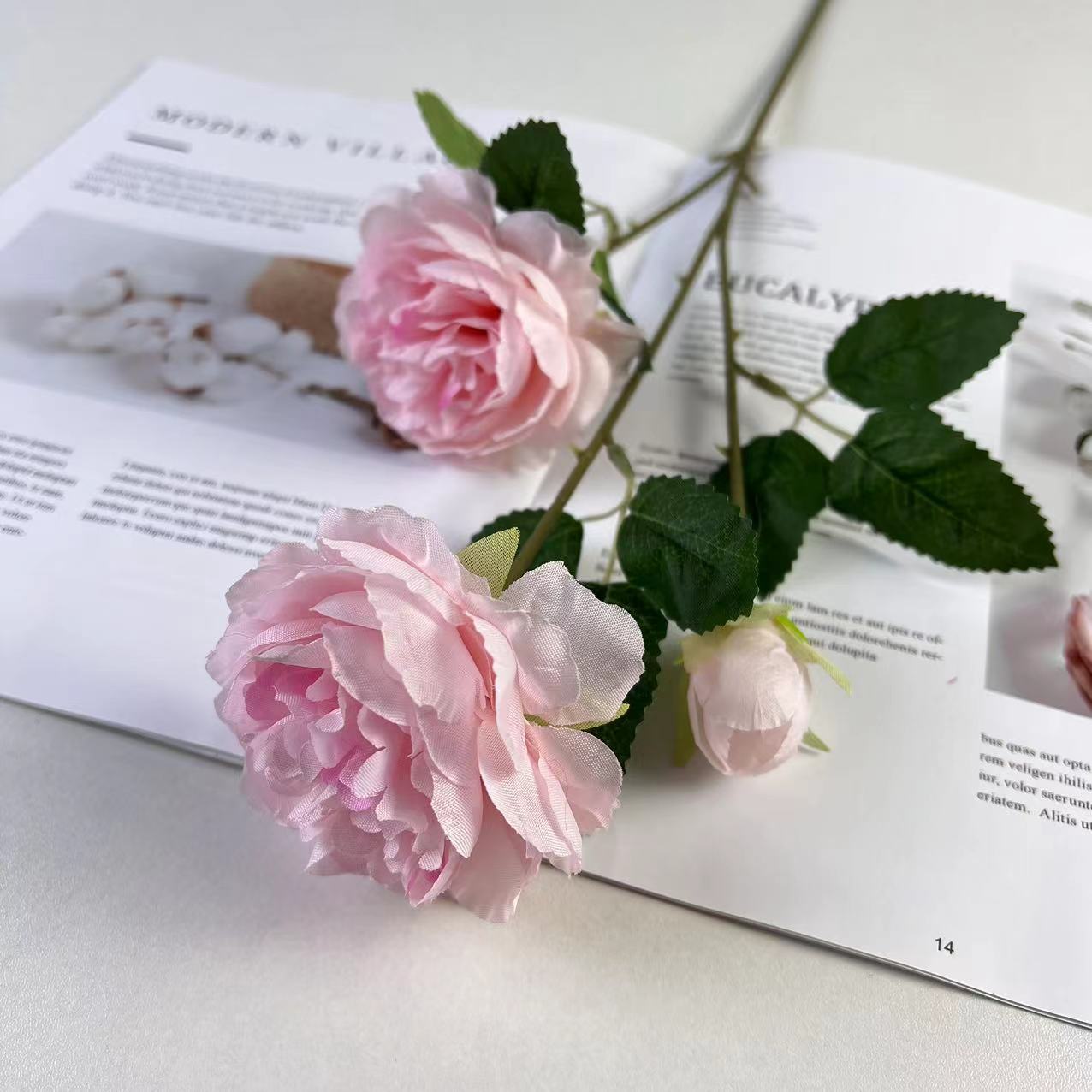 양 모란-물 핑크 (메인 사진)