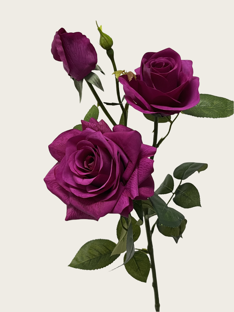 6270238bf61e198cda1be522780171