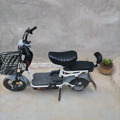 Rides, Beach, and Snow Bike Seat – Electric car cushion