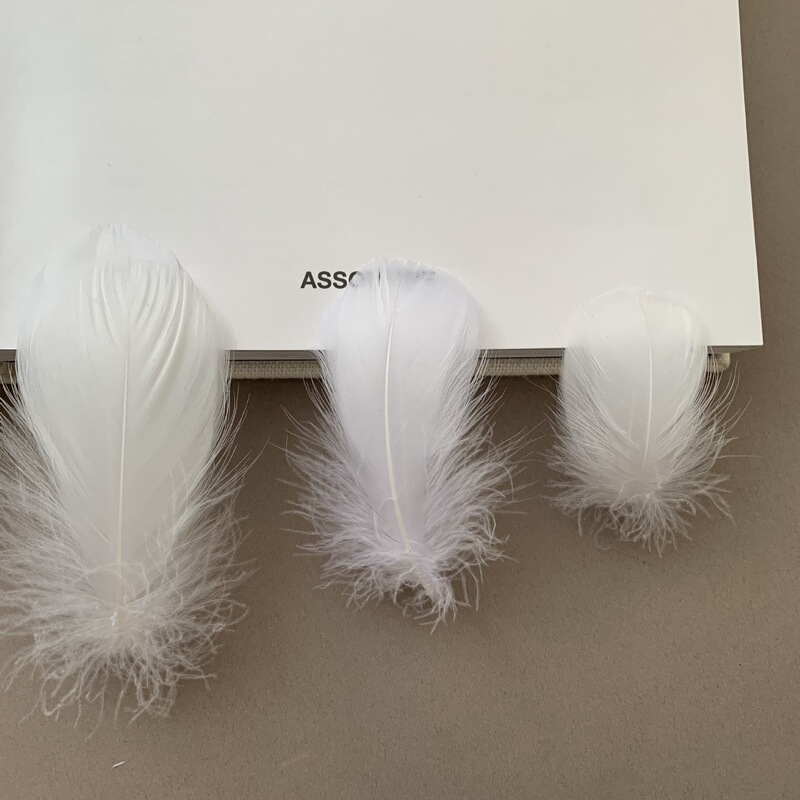 Manufacturer Wholesale Feather Decoration Goose Feathers Small Medium Floating White Black Clothing Accessories Bobo Ball Materials Cross-Border Exclusive Supply Manufacturer Wholesale Feather Decoration Goose Feathers Small Medium Floating White Black Clothing Accessories Bobo Ball Materials Cross-Border Exclusive Supply