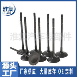 源头现货 高品质汽车进排气门059109601F  059109611G