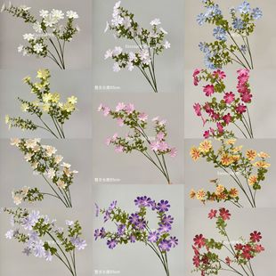 ���滨СҰ���ͮ���С�黨�c�Y����Ī�λ��@�L����~��ǧ�������l