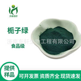 批发供应 栀子绿 食品级 食用色素栀子绿 源头厂家 质量保障