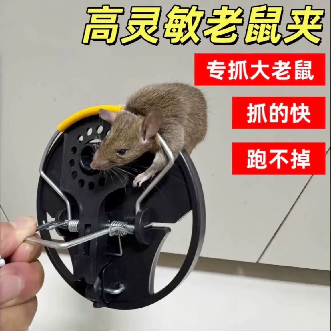 微信图片_20260412095132_4895_8