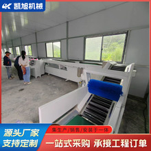 无损伤水果自动筛选机 双线电子选果设备 脐橙洗果风干选果流水线