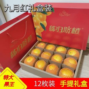 ���w���¼t��������tĚ�ȶY���b�����ͶY������ֶY������֭����