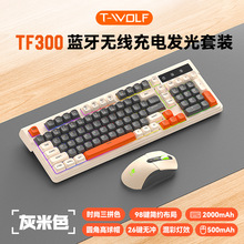 ����TF300�Α�l��o���{���pģ�I�P������b�����������������Z