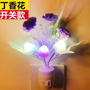 ���Q�羳�� �߲�׃ɫСҹ��led�_�P���^���W�t���܄���YƷ�����l