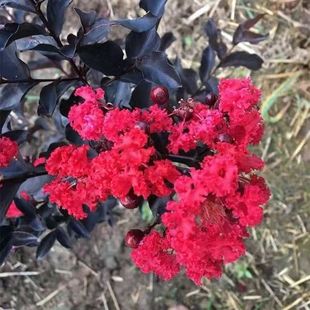 ���~���t��ޱ�玧�I�B�����Ի���ͥԺ�̨���~��ľ�ͺ��͟Ứ���L